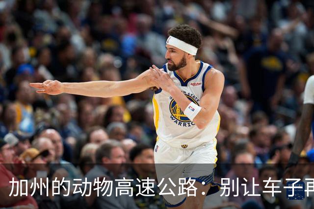 加州的动物高速公路：别让车子再把小动物吓得跳脚！